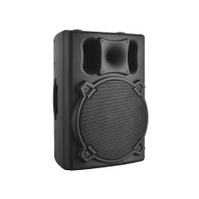 Audio -Active -Verstärker 15 -Zoll tragbarer Lautsprecher Profi